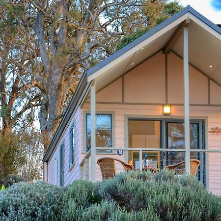 Grace Cottages Uralla Ngoại thất bức ảnh