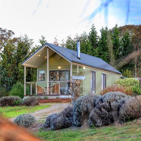 Grace Cottages Uralla Ngoại thất bức ảnh