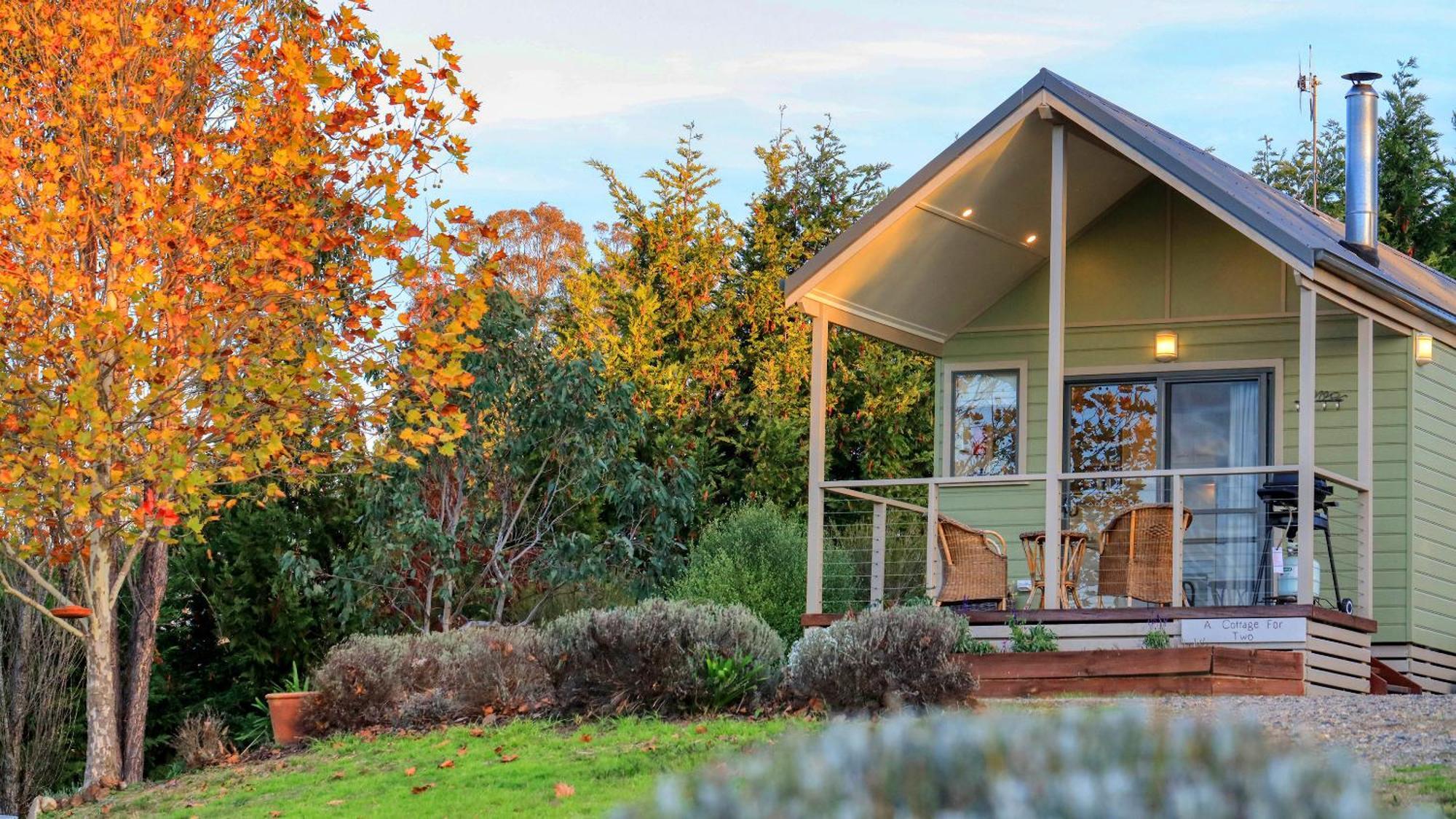 Grace Cottages Uralla Ngoại thất bức ảnh